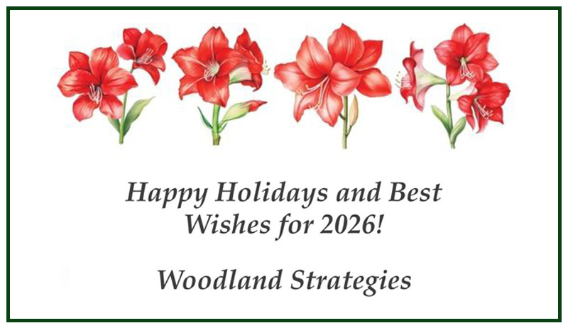 Happy Holidays from Woodland Strategies!