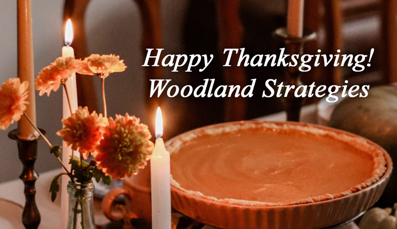 Happy Thanksgiving from Woodland Strategies